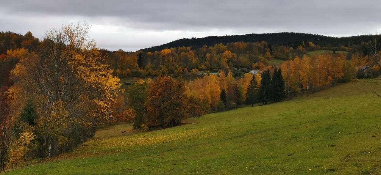 Hotel Zlaty Potok Nicov  Bagian luar foto