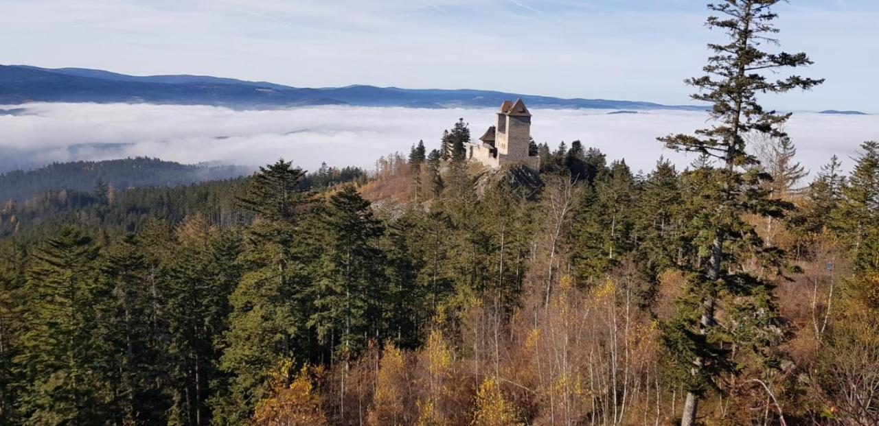 Hotel Zlaty Potok Nicov  Bagian luar foto