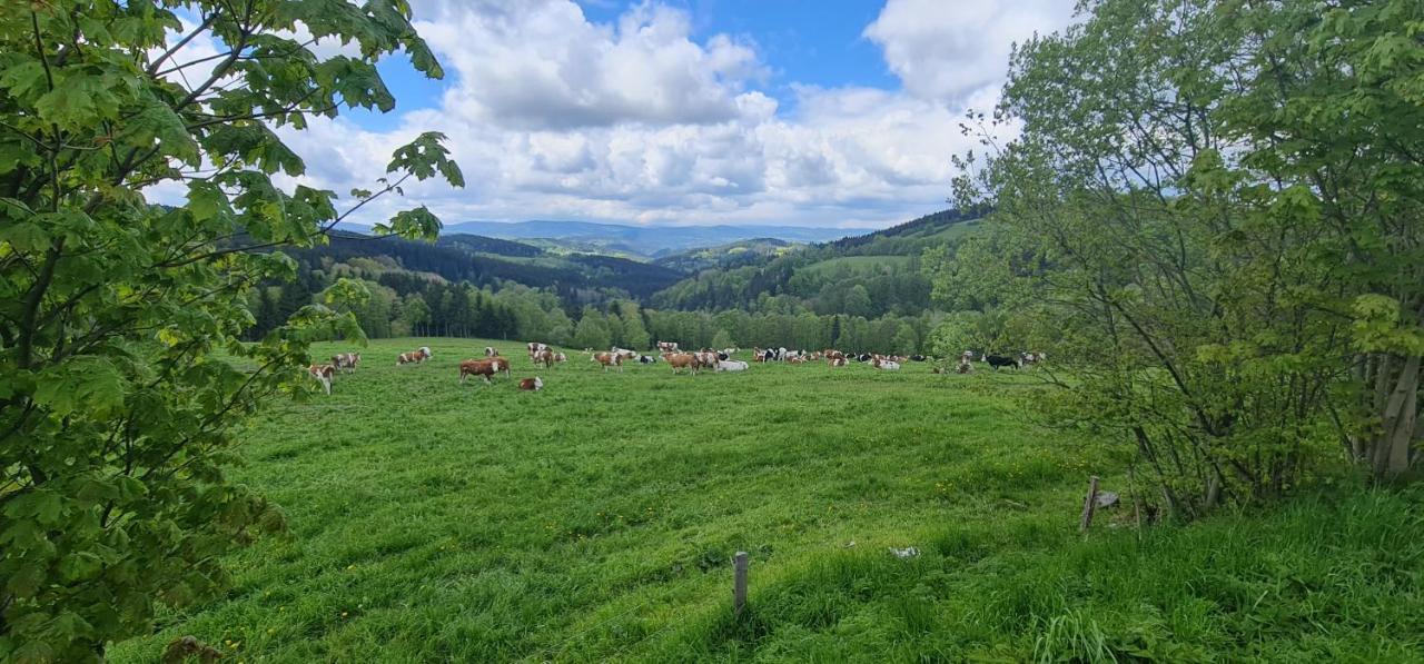 Hotel Zlaty Potok Nicov  Bagian luar foto
